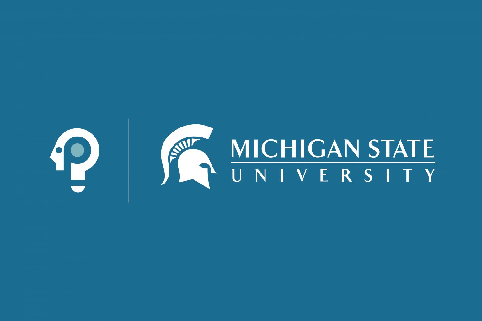 Blog_MSU_1